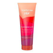 Inebrya Color Perfect Hair Mask 250ml