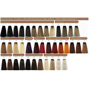 Exitenn Hair Colour Permanent Colour