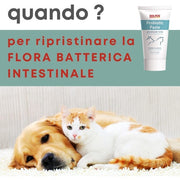 Dolfos Probiotic Paste for Dogs and Cats - Supports Intestinal Flora and Gastrointestinal Tract