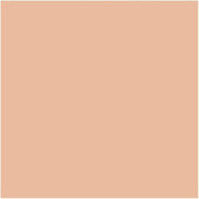 MAC Studio Fix Powder Plus Foundation 15g Shade C4.5 Beige