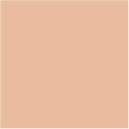 MAC Studio Fix Powder Plus Foundation 15g Shade C4.5 Beige