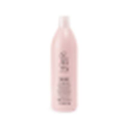Inebrya Karyn Deep Shine Shampoo 1000ml