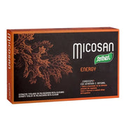 Santiveri Micosan Energy 40 Capsules Dietary Supplement For Energy