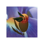 Loewe Loewe Solo Elixir 50 Ml