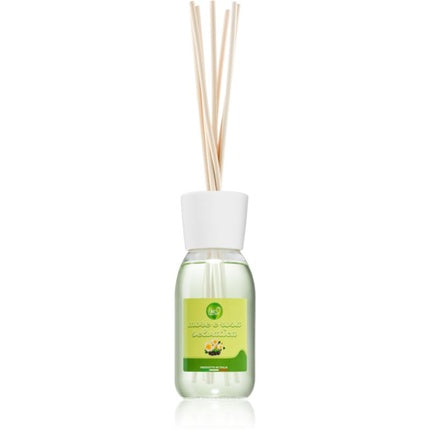 THD Blackberry & Wild Rose Aroma Diffuser - 100 ml