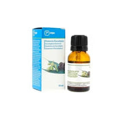 Prim Prim Essences For Humidifier Eucalyptus