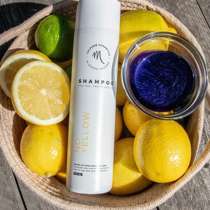 No Yellow Shampoo