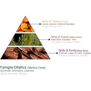 Ducati ICE Deo Spray Intense & Refreshing Aromatic Woody Scent Lemon & Eucalyptus Notes Long-Lasting Protection Italian High-End Deodorant for Men 150ml