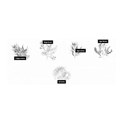 NAK Colour Masque Shampoo 265ml