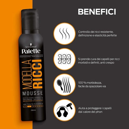 PALETTE Spuma Ricci 250ml Professional Hair Dye