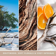 Yankee Candle Seaside Woods Medium Jar Candle - Up to Burn Time