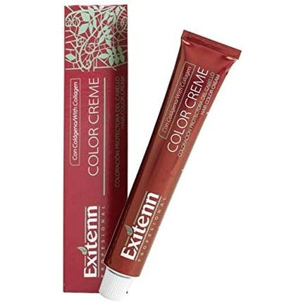Exitenn Color Cream 60ml 11001 Silver Plus