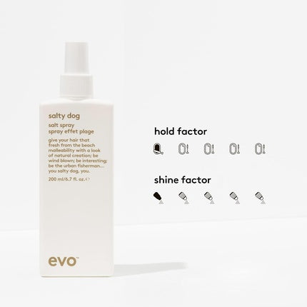 Evo Salty Dog Salt Spray Hair Texture & Volume Spray - Beach Textured Hair
