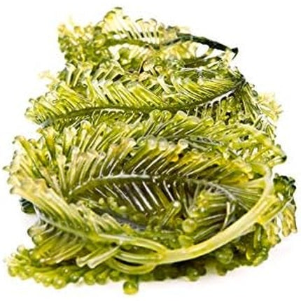 Dead Sea Bath Lotion with Algae Rich in Minerals for Skin Care 1000ml