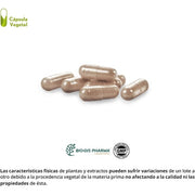 Nature Essential Reishi 30 Capsules