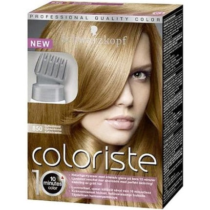 Schwarzkopf Coloriste 10 550 Castano Dor 6x17 Hair Color