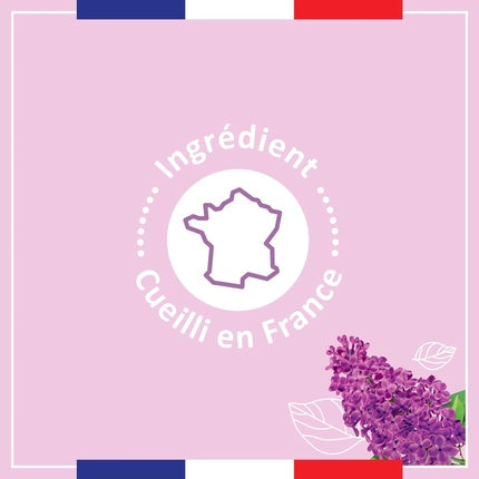 Le Petit Marseillais Extra Gentle Shower Cream Lilac 250ml