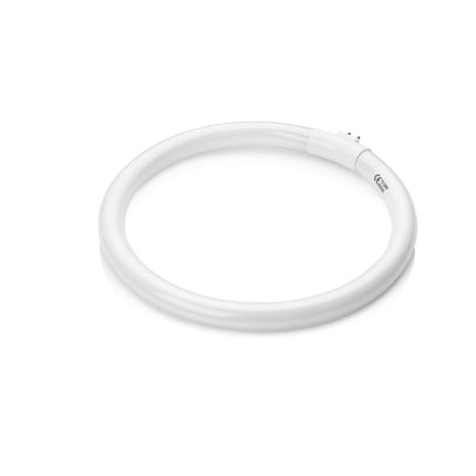 Xanitaliapro Magnifying Lamp 5d Fly 28 Watt Perfect For Detailed Work