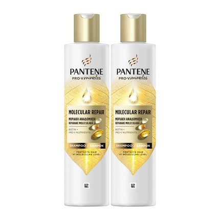 Pantene Shampoo Duo Pack 1.750ml