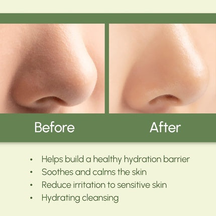 Dermalogy by Neogenlab Real Fresh Foam Green Tea Oil