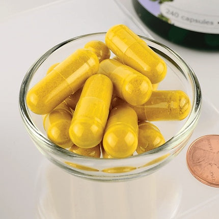 Swanson Turmeric Antioxidant Joint Health Cardiovascular Liver Detox Mood and Memory Support Supplement 240 Capsules 720mg - 120 Servings