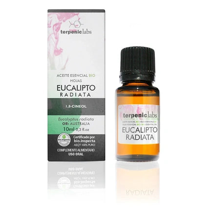 Terpenic Eucalyptus Radiata 10ml Organic