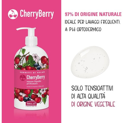 Helan I Sorbetti Cherryberry Revitalising Liquid Hand Wash with Blackcurrant