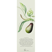 Crabtree & Evelyn Avocado Olive and Basil Revitalising Bath and Shower Gel 8.5 fl oz