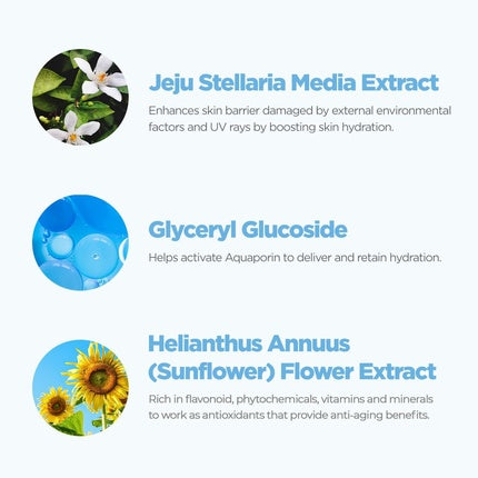 Rovectin Aqua Soothing Sun Cream - Korean Physical Sunscreen, Hydrating UV