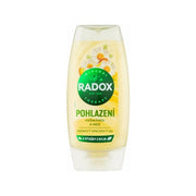 Radox Soothing Shower Gel 225 Ml
