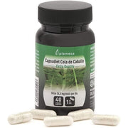 PLAMECA Capsudiet Horsetail Regenerating Diuretic and Calming for Nails and Hair with Flavonoids for Hoop Problems Stripes and Sagging 40 Vegetable Capsules