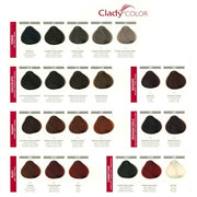 Clady Professional Hair Coloring Cream Dye Tint
