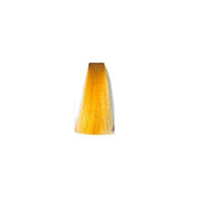 Inebrya Bionic Color Yellow Toner 100ml