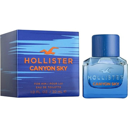 Hollister Men's Toiletry Water Ideal for Men
