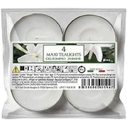 Maxilight Aladino Jasmine