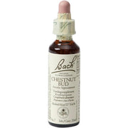 Bach Chestnut Bud 20ml