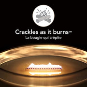 Woodwick Ellipse Scented Candle With Crackling Wick, Coastal Sunset, Up To 50