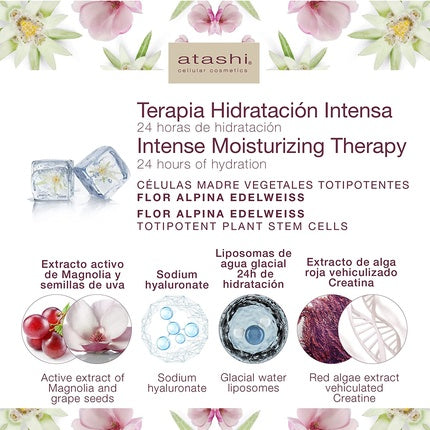 Atashi Firmness and Brightness Intense Moisturizing Therapy Calming Redness Preventing Wrinkles and Spots