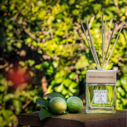 Acqua Dell'Elba Home Fragrance Diffuser Limonaia Di Sant Andrea 500ml