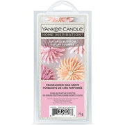 Yankee Candle Candle Sets Multicolor