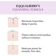 Equalberry Purifying Mask for Pores with Rice Purple Clay and Foam Cleaning