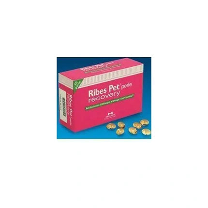 Nbf Lanes Srl Ribes Pet Recovery Blister 60 Pearls