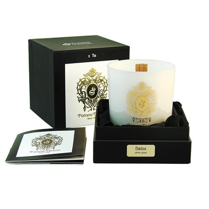 Tiziana Terenzi Delox Candle 170g