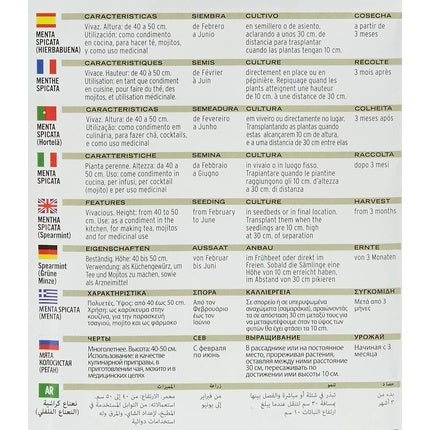 Batlle Aromatic Seeds Mint 0.2g