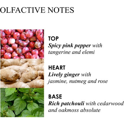 Molton Brown Fiery Pink Pepper Hand Lotion 300ml