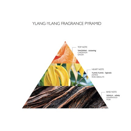 Molton Brown Relaxing Ylang-Ylang Body Lotion