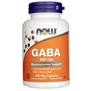 NOW Foods GABA 500mg 100 Capsules