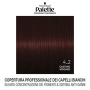 Professional Performance Hair Color Palette 4.2 Chestnut Mahogany 6pcs In Box