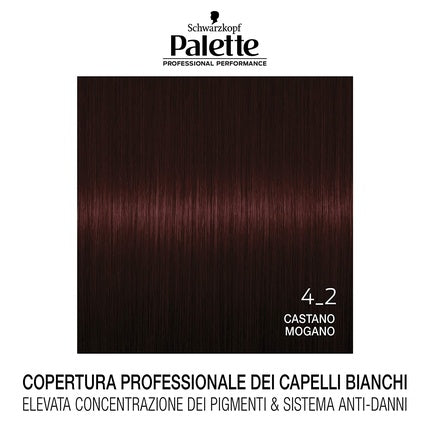 Professional Performance Hair Color Palette 4.2 Chestnut Mahogany 6pcs In Box