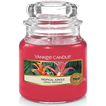 Yankee Candle Scented Candle In Glass Small | Tropical Jungle | Burn Time Up To 30